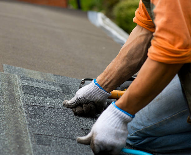 Best Storm Damage Roof Repair  in Mked Tree, AR