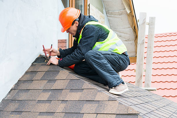 Best Roof Gutter Cleaning  in Mked Tree, AR