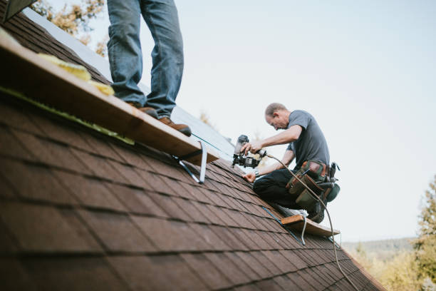 Best Gutter Installation and Roofing  in Mked Tree, AR